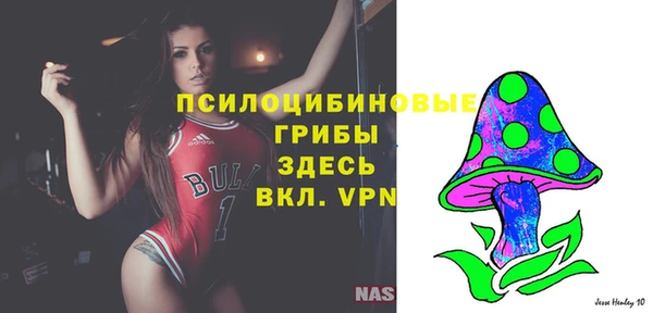 молекула духа Верея